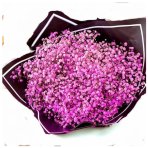 Wonder Pink Baby's Breath Bouquet