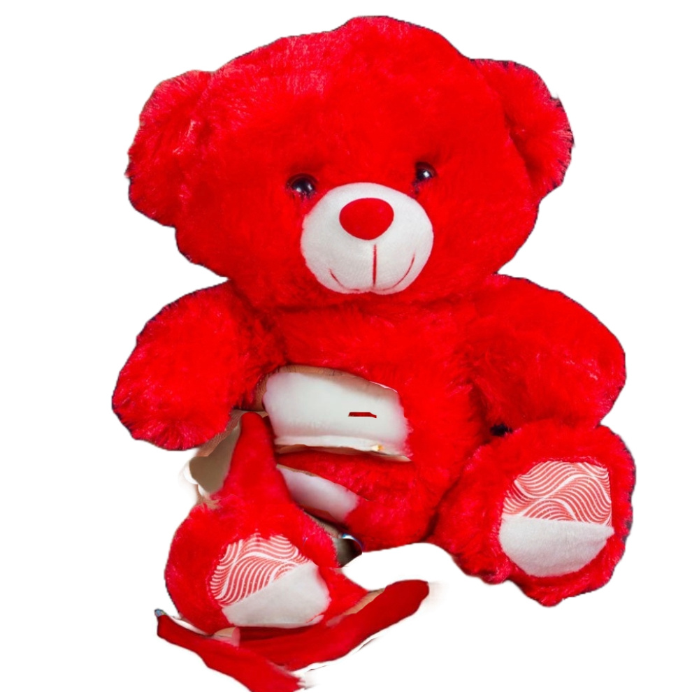 Plush Red Teddy Bear 27cm