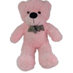 Pink Teddy Bear 60cm